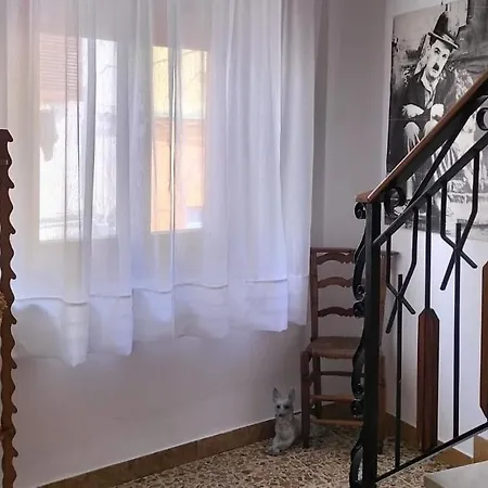 Carru De Ammentos Couette-café Ozieri